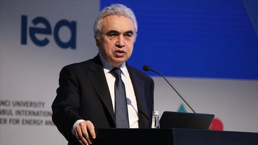 IEA Outlines Plan to Accelerate Renewable Power Project for Mitigating European Energy Crisis - ECO-WORTHY